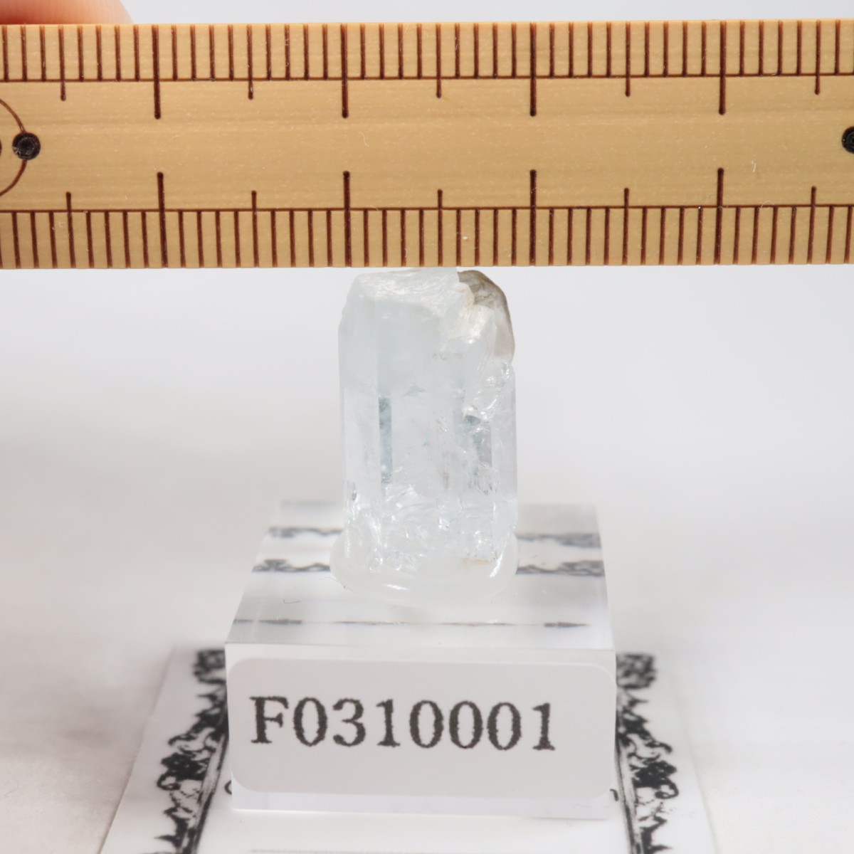 �ѥ������� �٥��