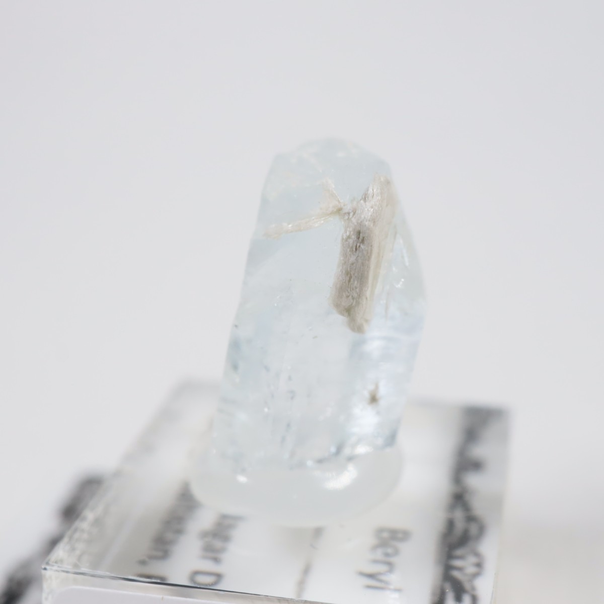 �ѥ������� �٥��