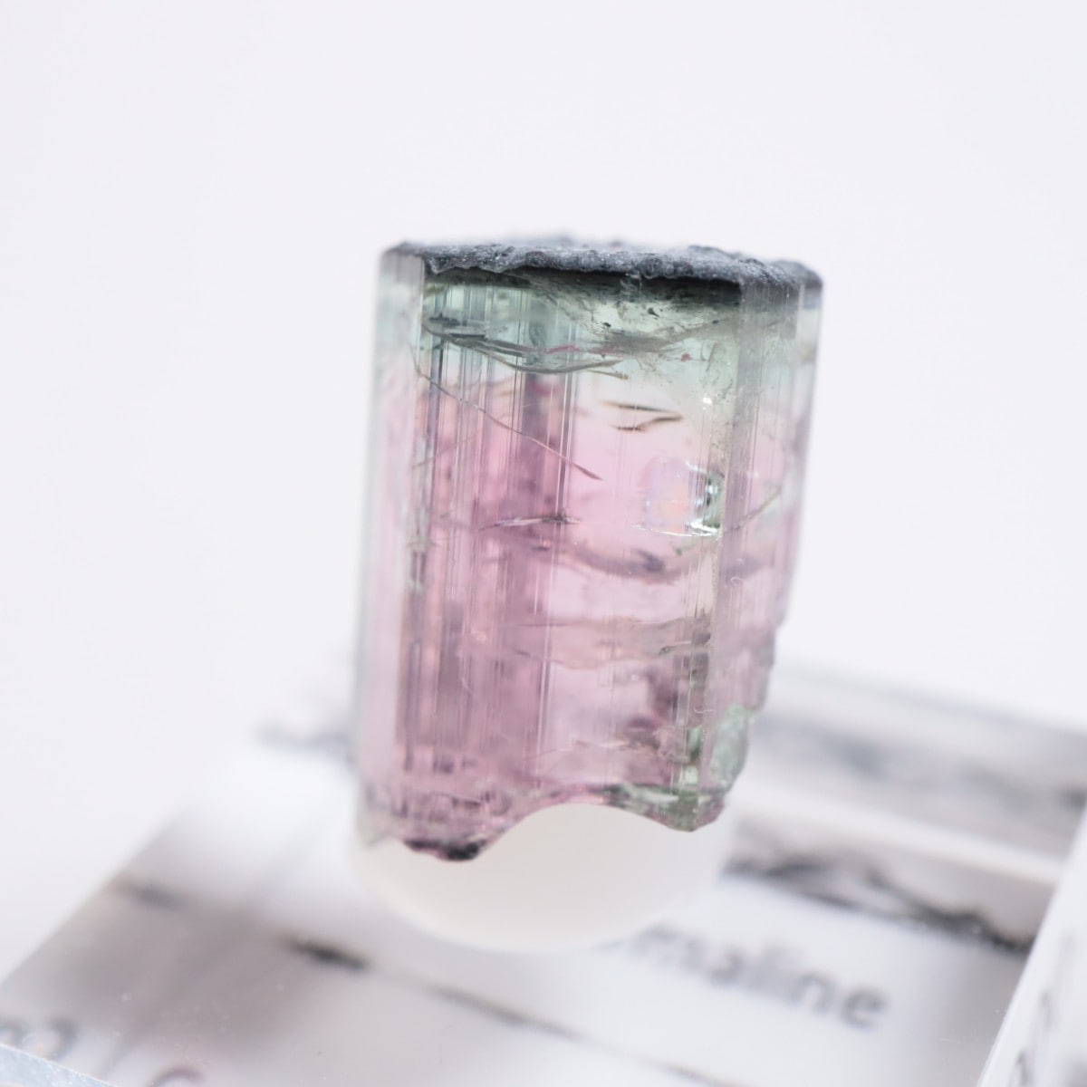 Coronel Murta�� �ȥ�ޥ��