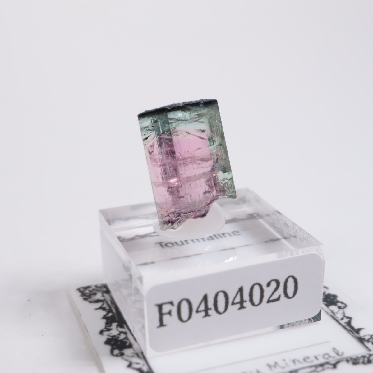 Coronel Murta�� �ȥ�ޥ��