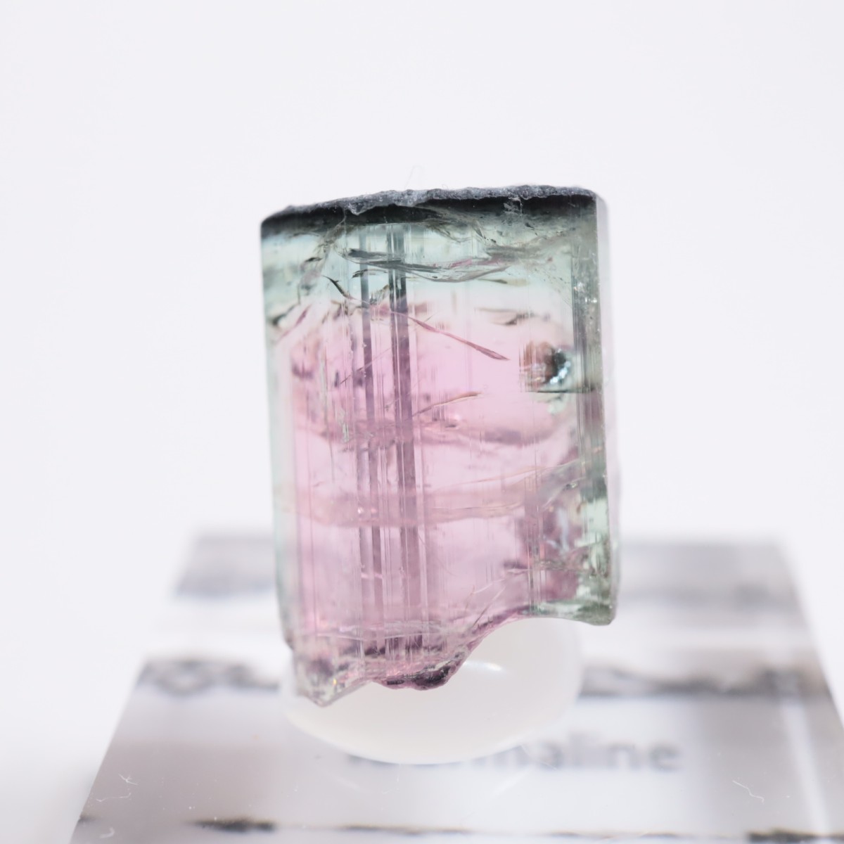 Coronel Murta�� �ȥ�ޥ��