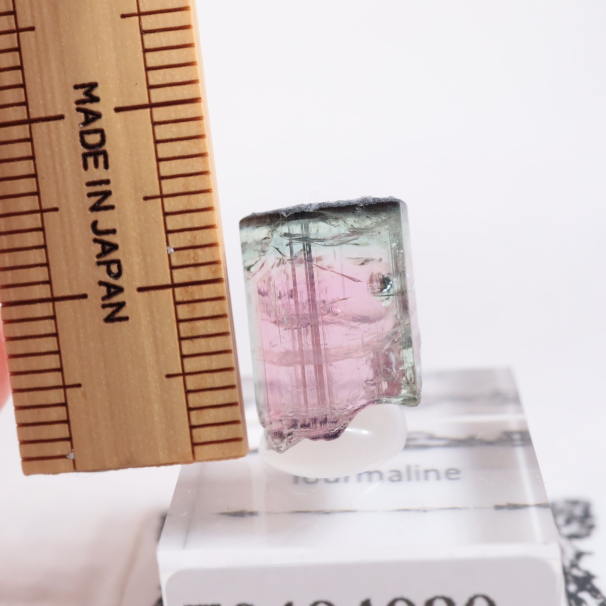 Coronel Murta�� �ȥ�ޥ��