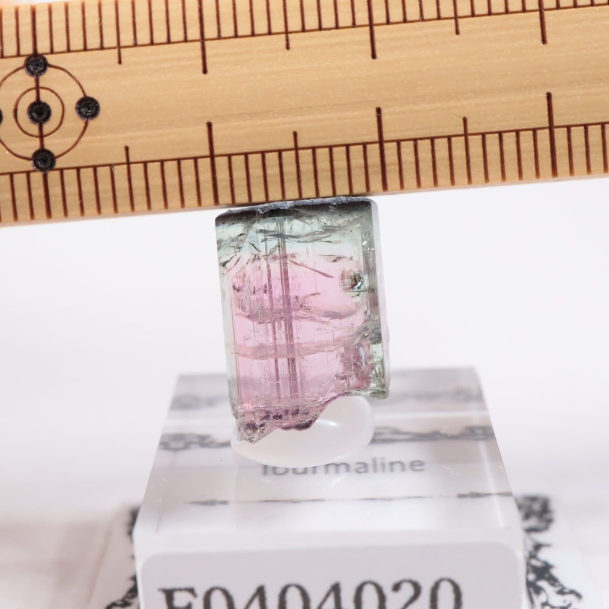 Coronel Murta�� �ȥ�ޥ��