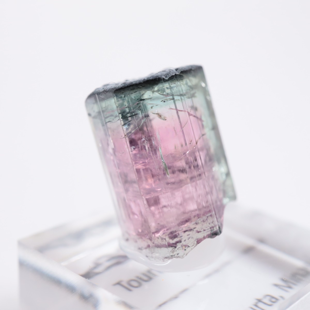 Coronel Murta�� �ȥ�ޥ��