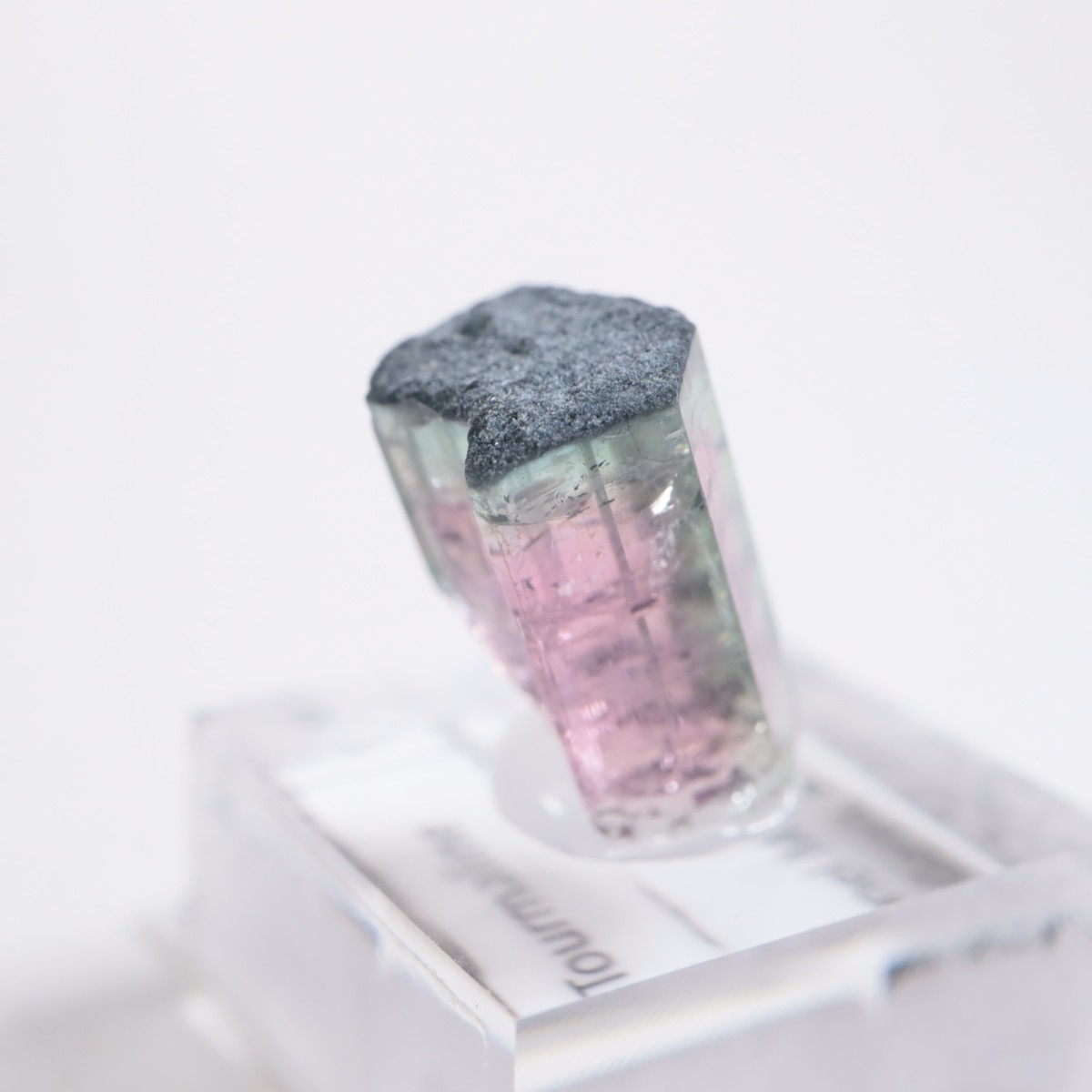 Coronel Murta�� �ȥ�ޥ��