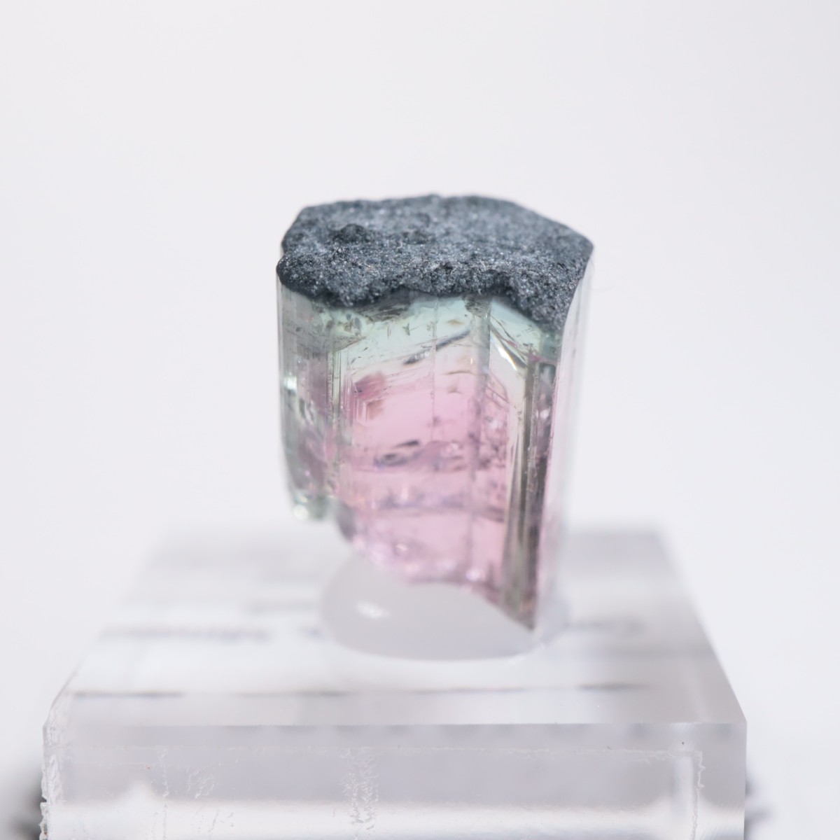 Coronel Murta�� �ȥ�ޥ��