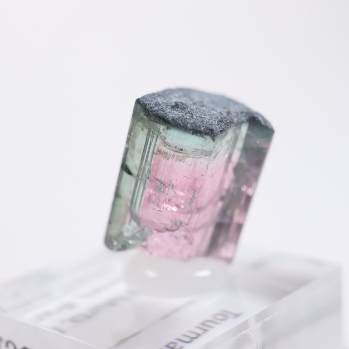 Coronel Murta�� �ȥ�ޥ��