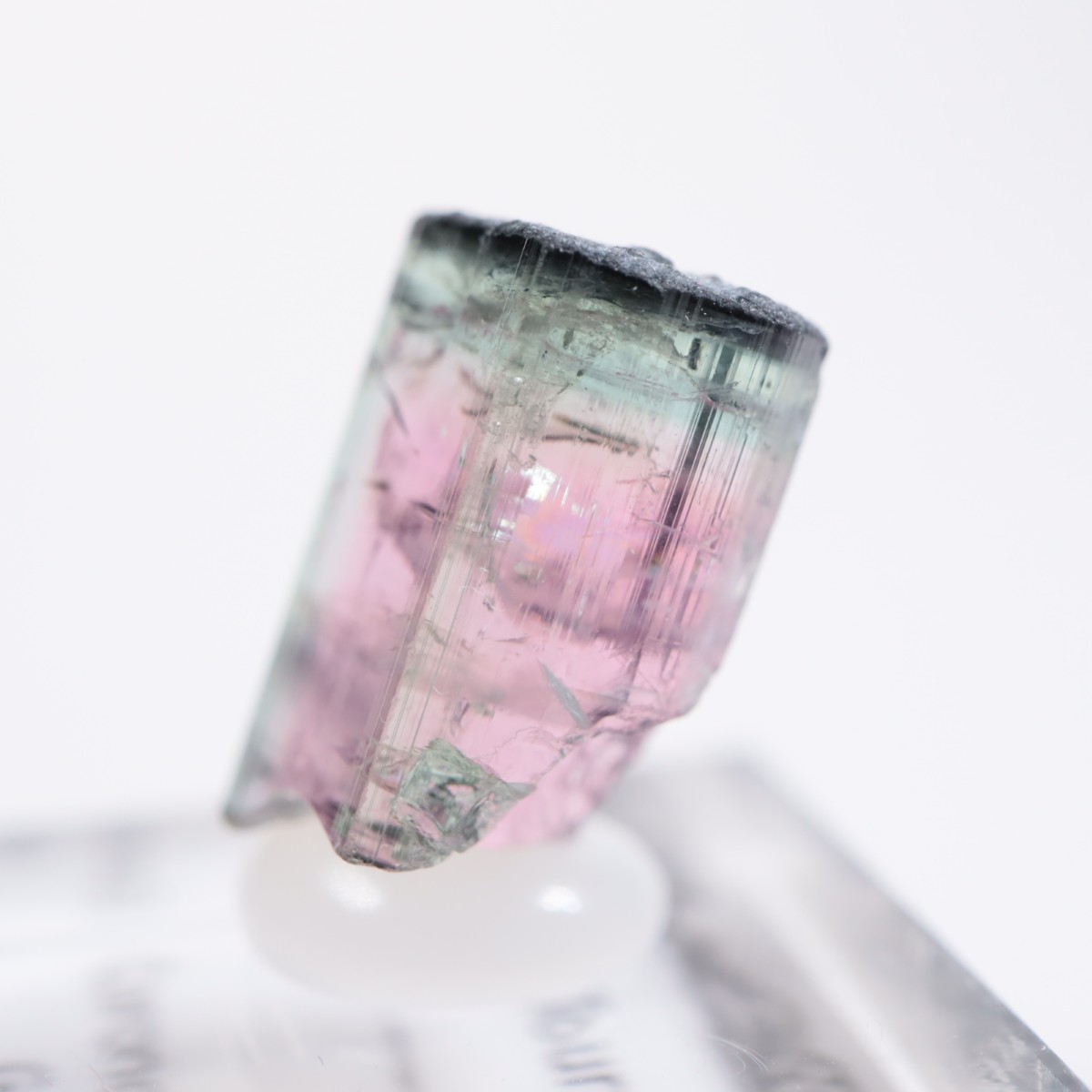 Coronel Murta�� �ȥ�ޥ��