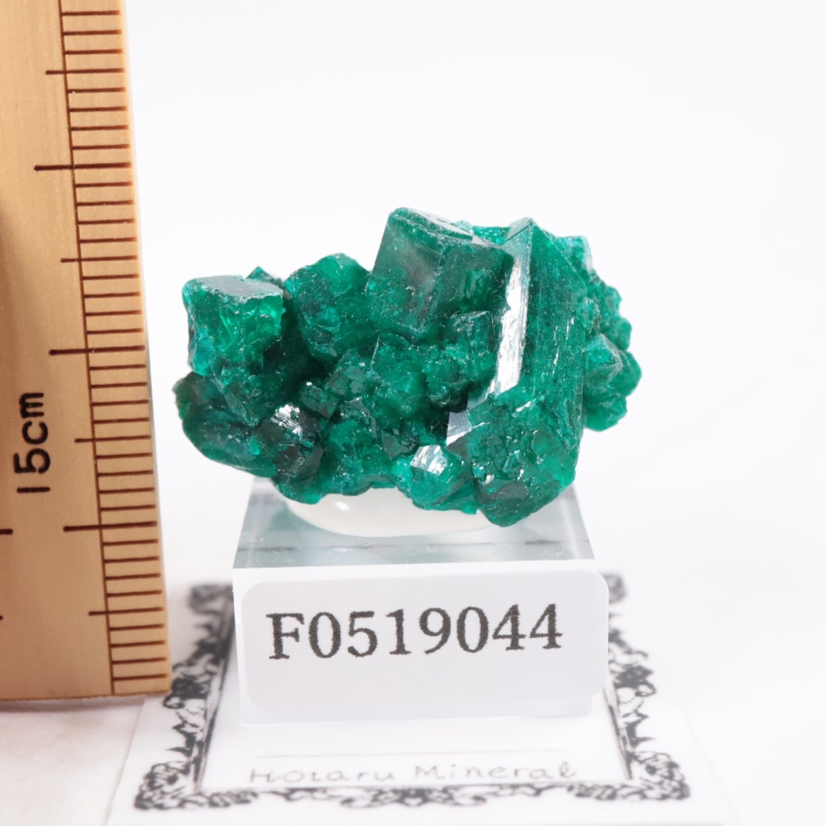 クォーツ　ダイオプテーズ　コンゴ産　鉱物　標本　原石 クォーツ ダイオプテーズ コンゴ産 鉱物 標本 原石 コンゴ産