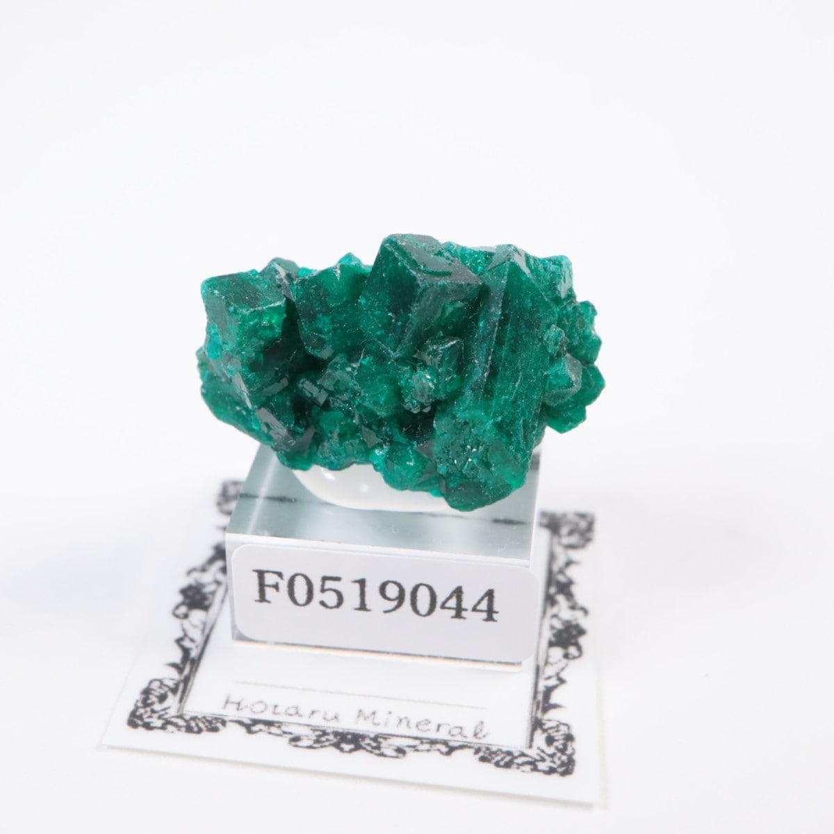 コンゴ産 ダイオプテーズ | 鉱物標本,タ行,ダイオプテーズ/翠銅鉱