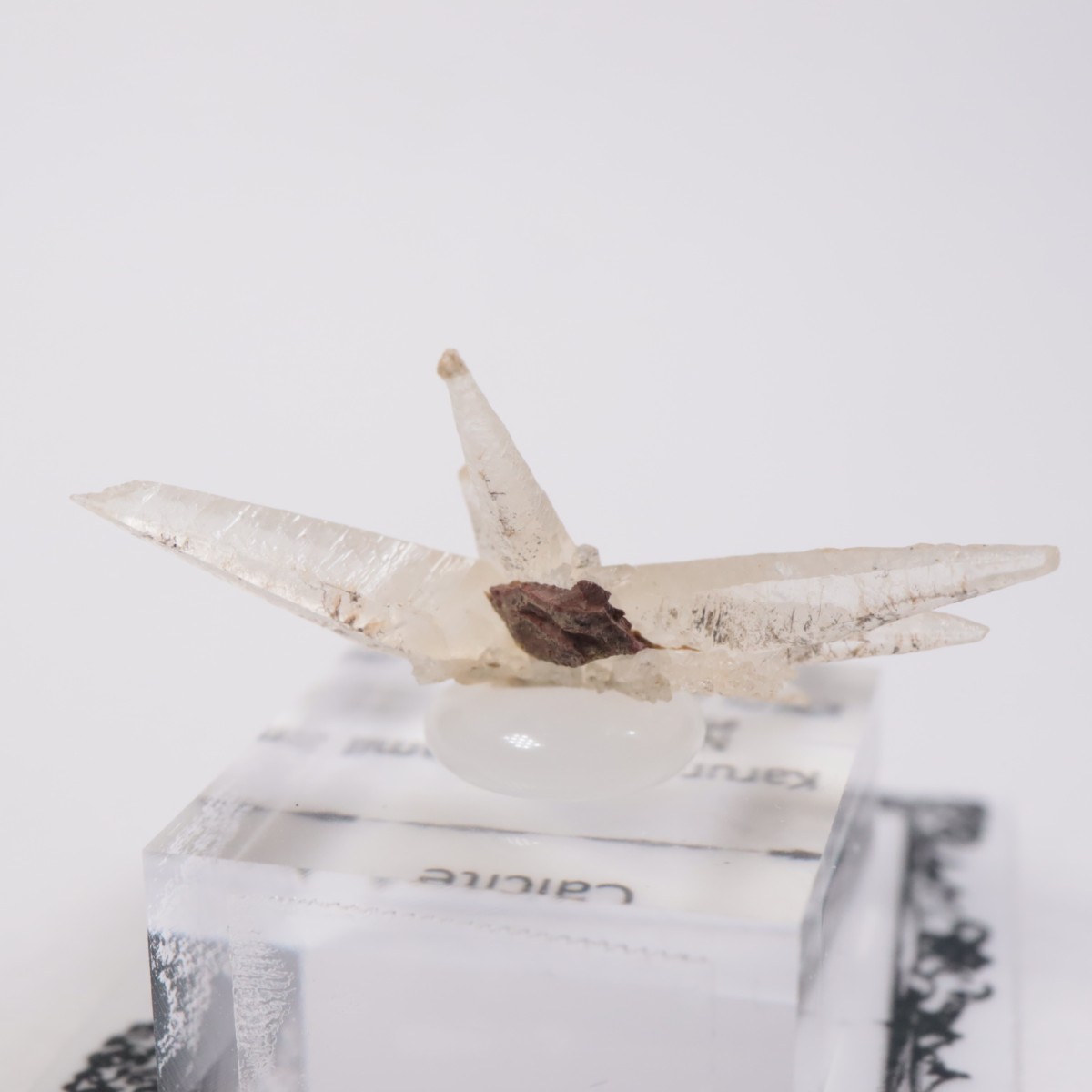 【インド】カルサイト【cal193】 カルサイト【Calcite】アメリカ産 | PEANUTS MINERALS