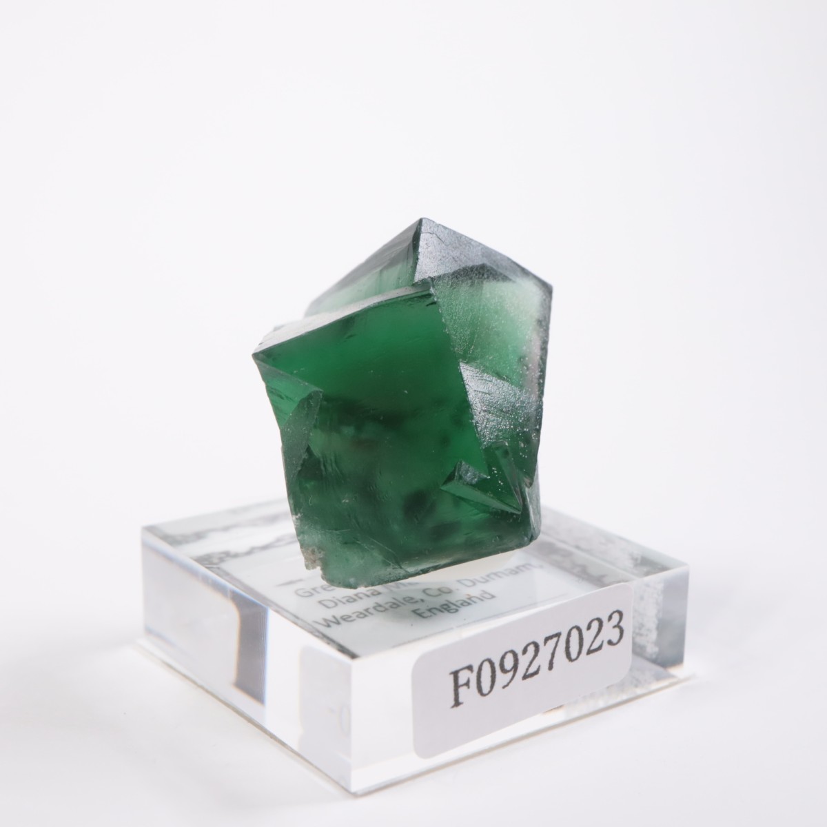 Greedy Hog Pocket�� �ե����饤��