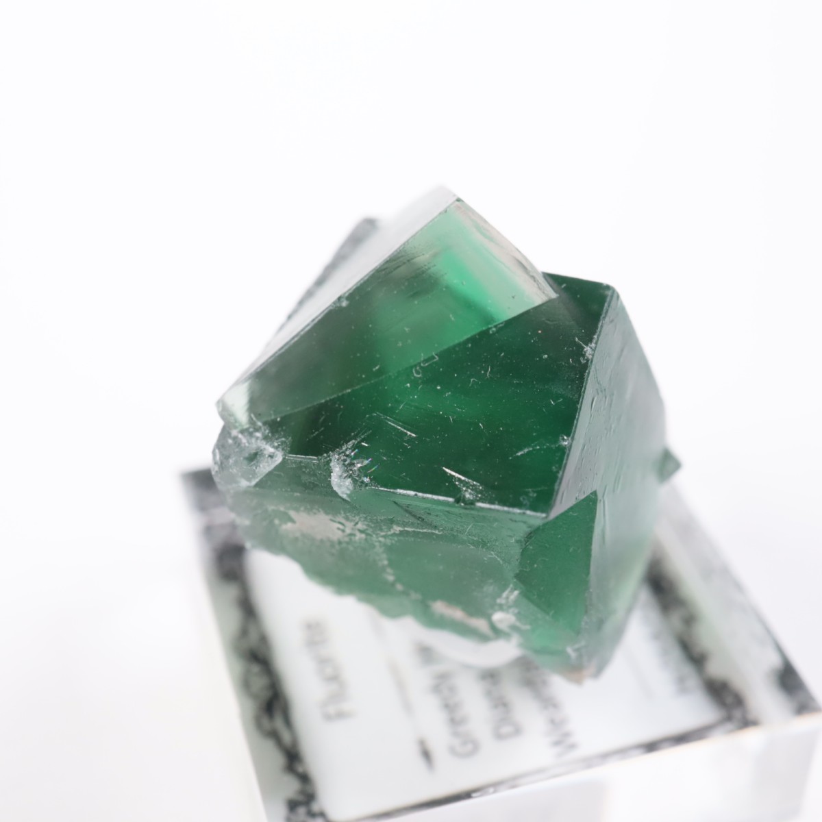 Greedy Hog Pocket�� �ե����饤��