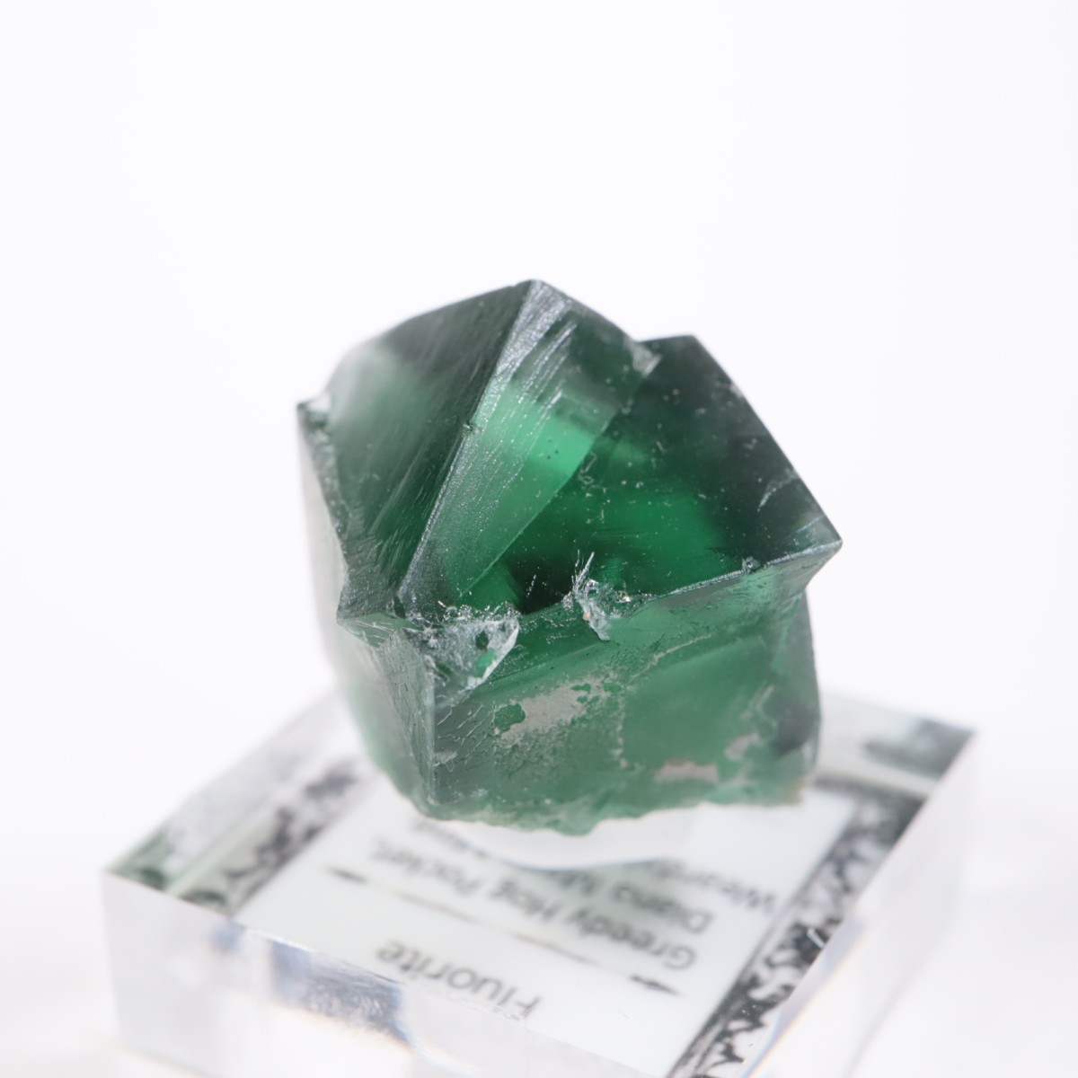 Greedy Hog Pocket�� �ե����饤��