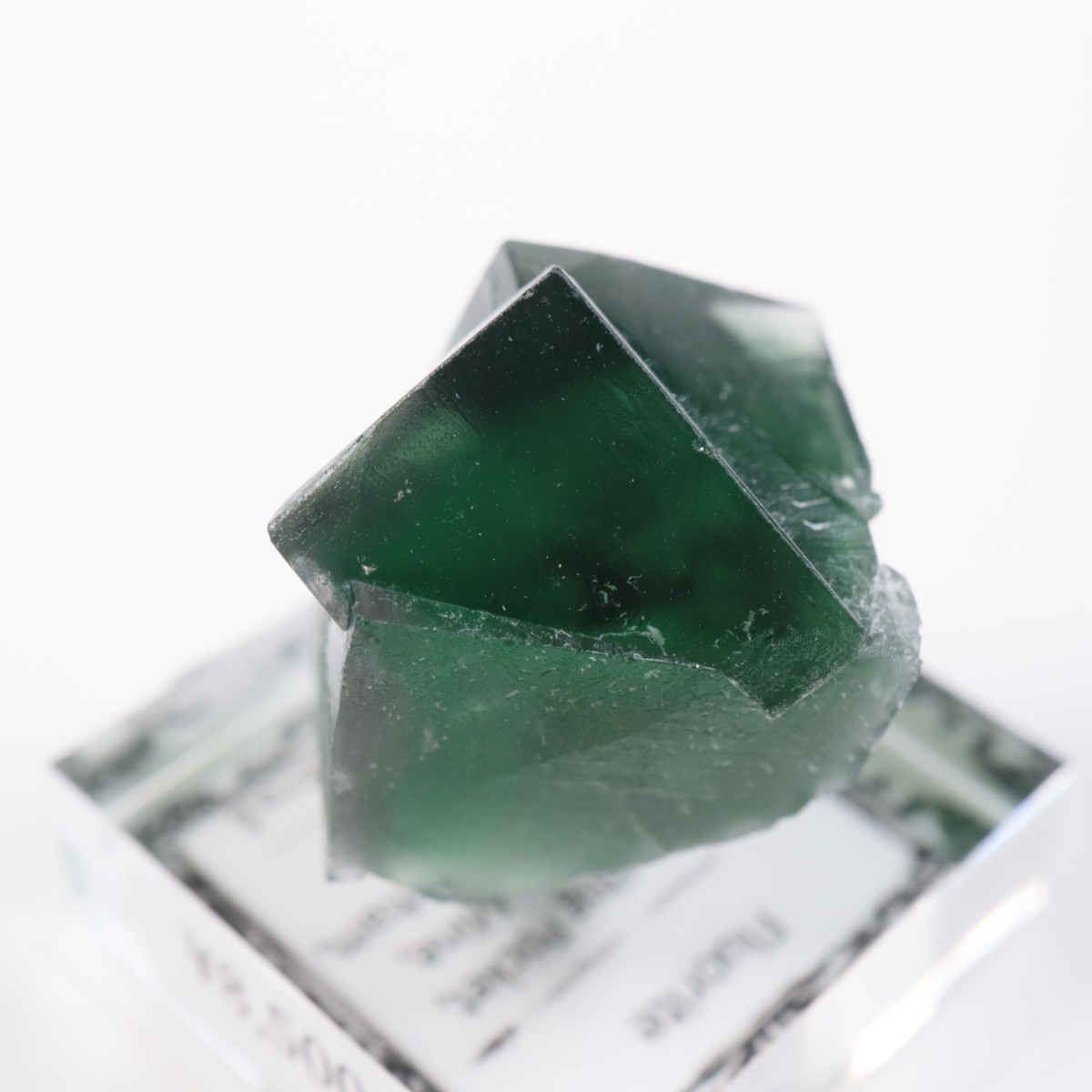 Greedy Hog Pocket�� �ե����饤��