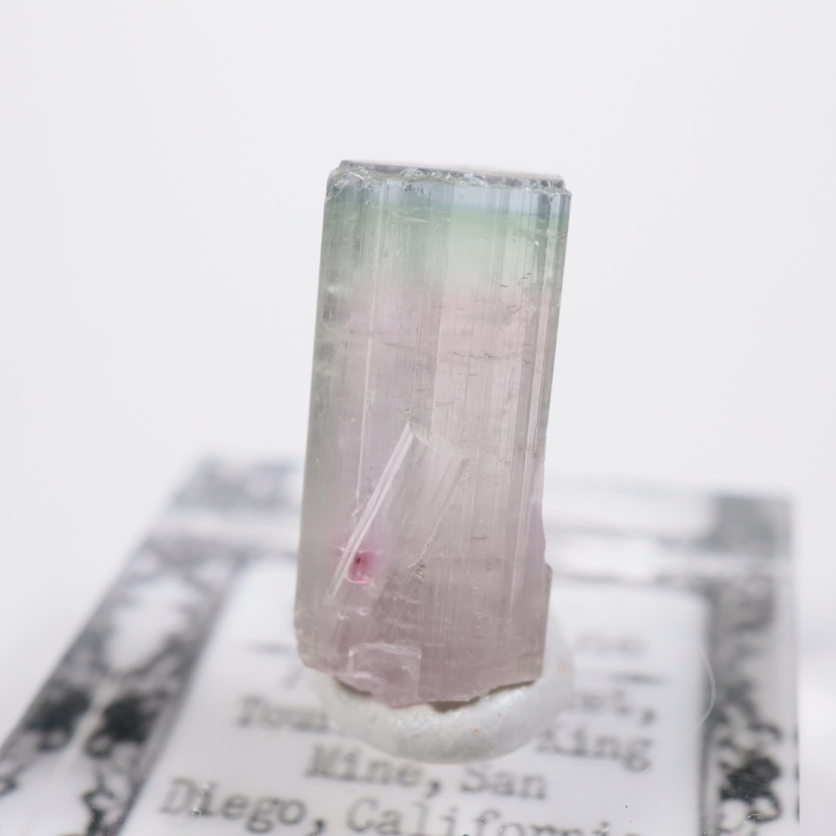 �ȥ�ޥ�󥭥󥰹ۻ��� �ȥ�ޥ��