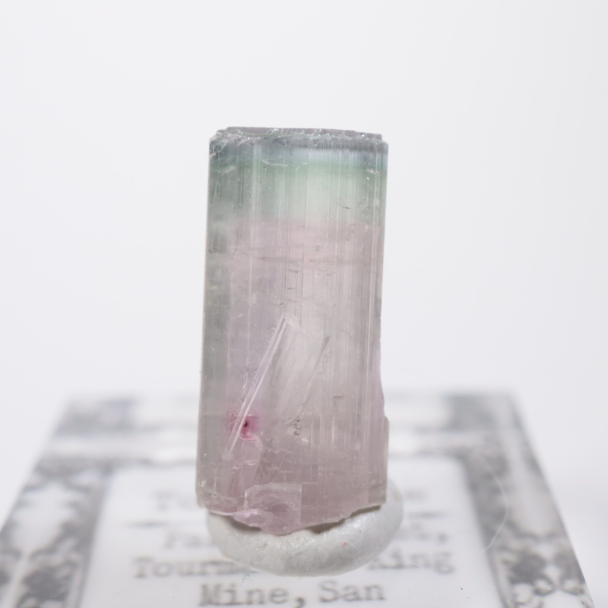 �ȥ�ޥ�󥭥󥰹ۻ��� �ȥ�ޥ��