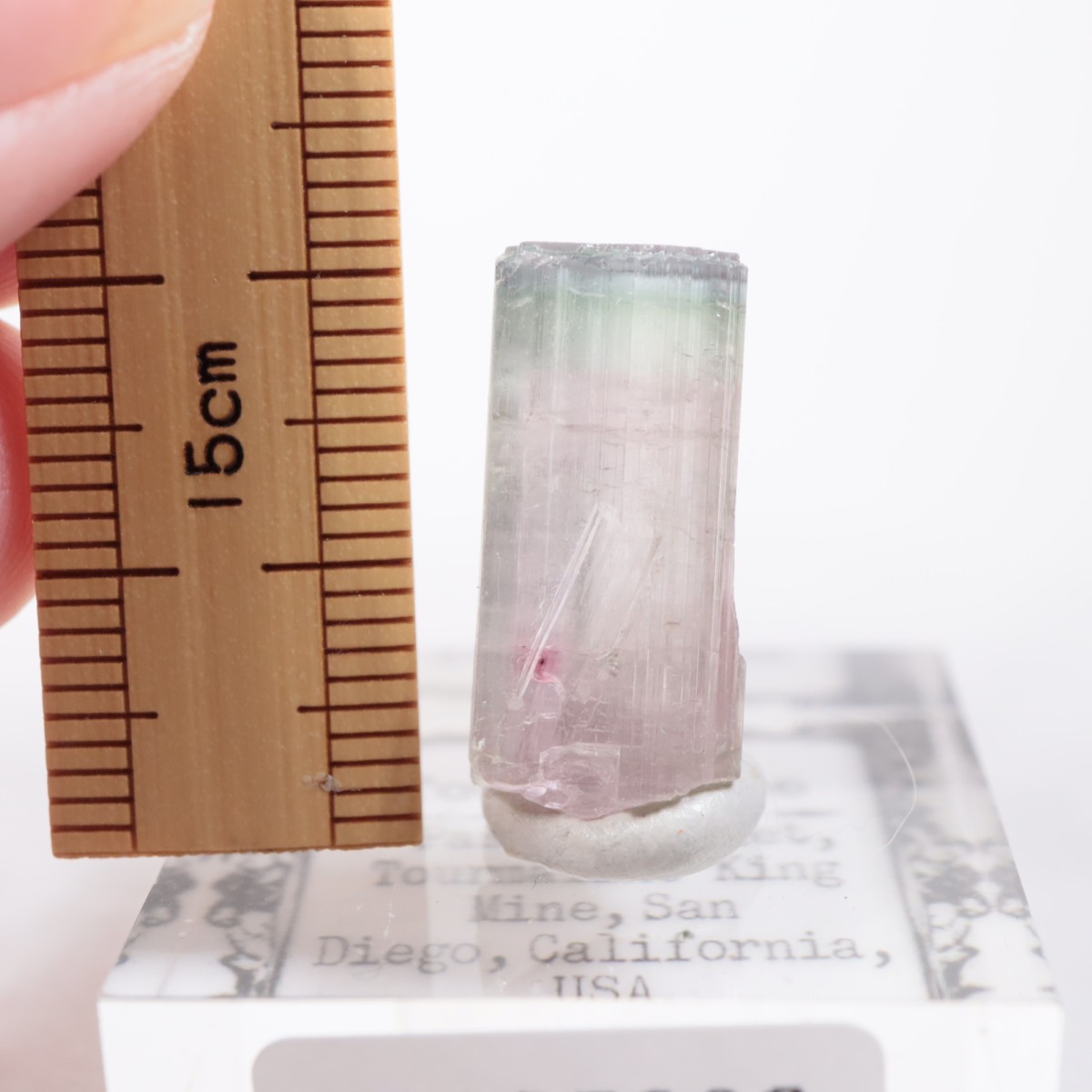 �ȥ�ޥ�󥭥󥰹ۻ��� �ȥ�ޥ��