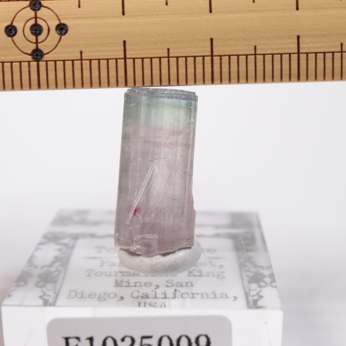 �ȥ�ޥ�󥭥󥰹ۻ��� �ȥ�ޥ��