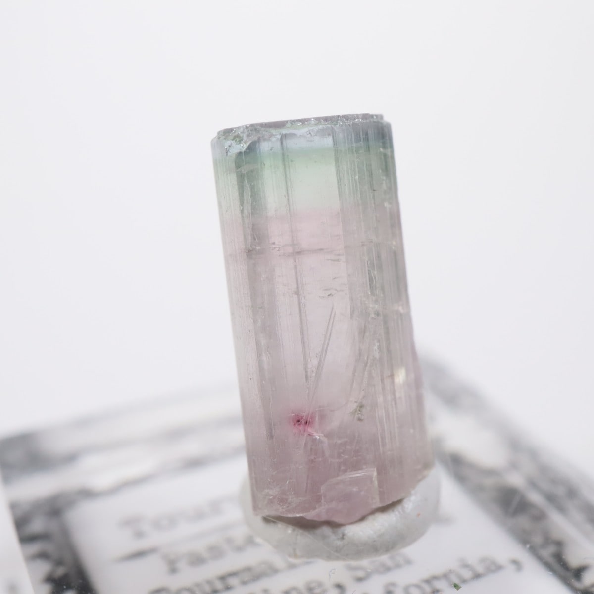 �ȥ�ޥ�󥭥󥰹ۻ��� �ȥ�ޥ��