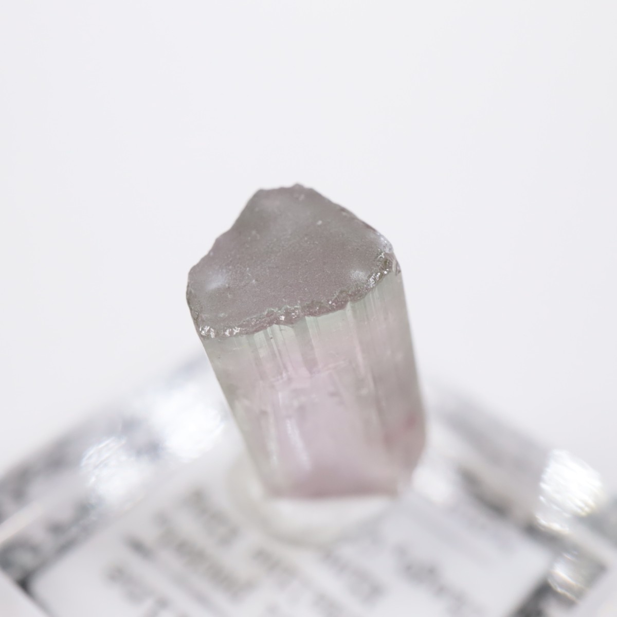 �ȥ�ޥ�󥭥󥰹ۻ��� �ȥ�ޥ��