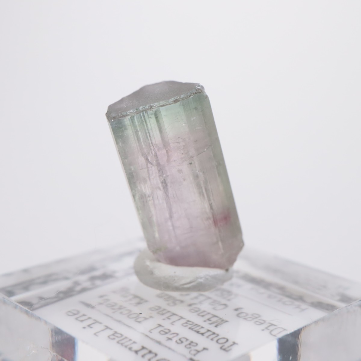 �ȥ�ޥ�󥭥󥰹ۻ��� �ȥ�ޥ��