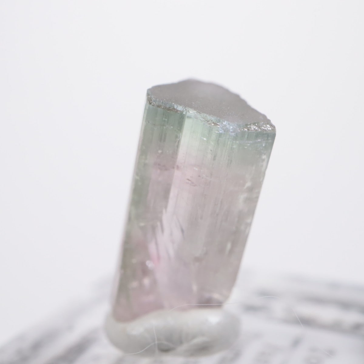 �ȥ�ޥ�󥭥󥰹ۻ��� �ȥ�ޥ��