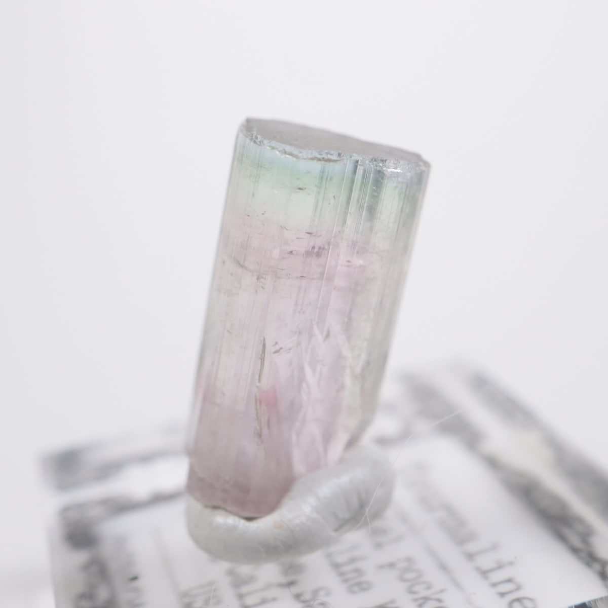 �ȥ�ޥ�󥭥󥰹ۻ��� �ȥ�ޥ��