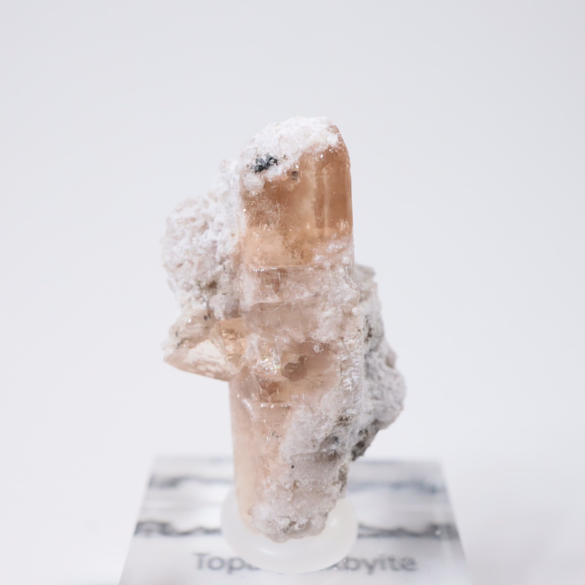 �����顼������ɹۻ� �ȥѡ������ӥ����ӥ�����