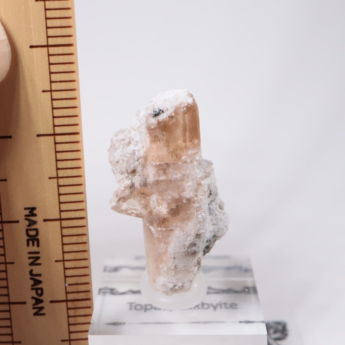 �����顼������ɹۻ� �ȥѡ������ӥ����ӥ�����