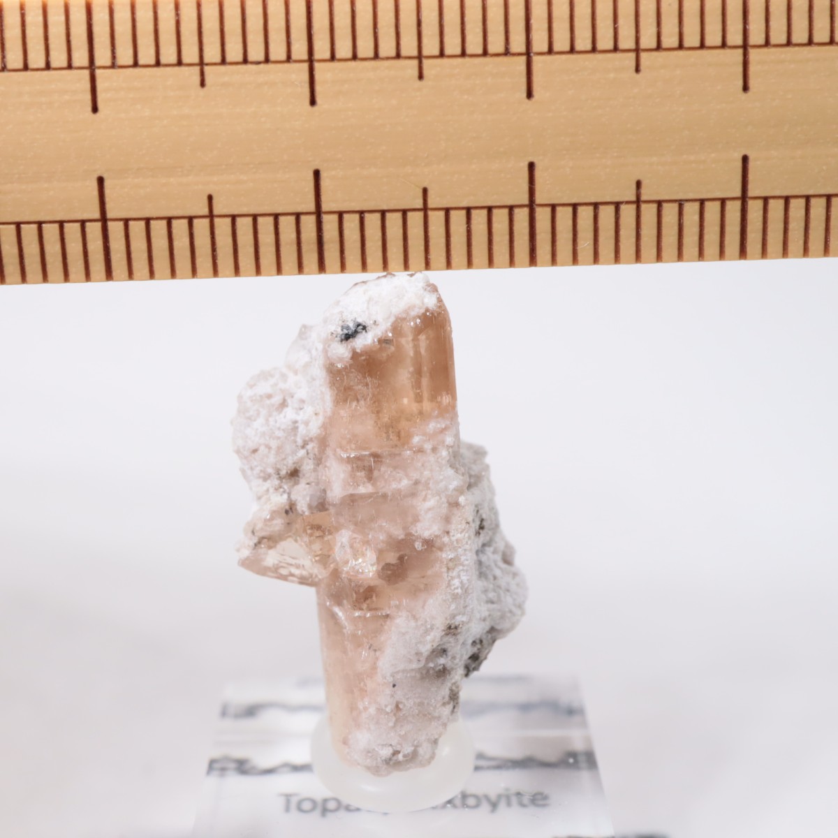 �����顼������ɹۻ� �ȥѡ������ӥ����ӥ�����