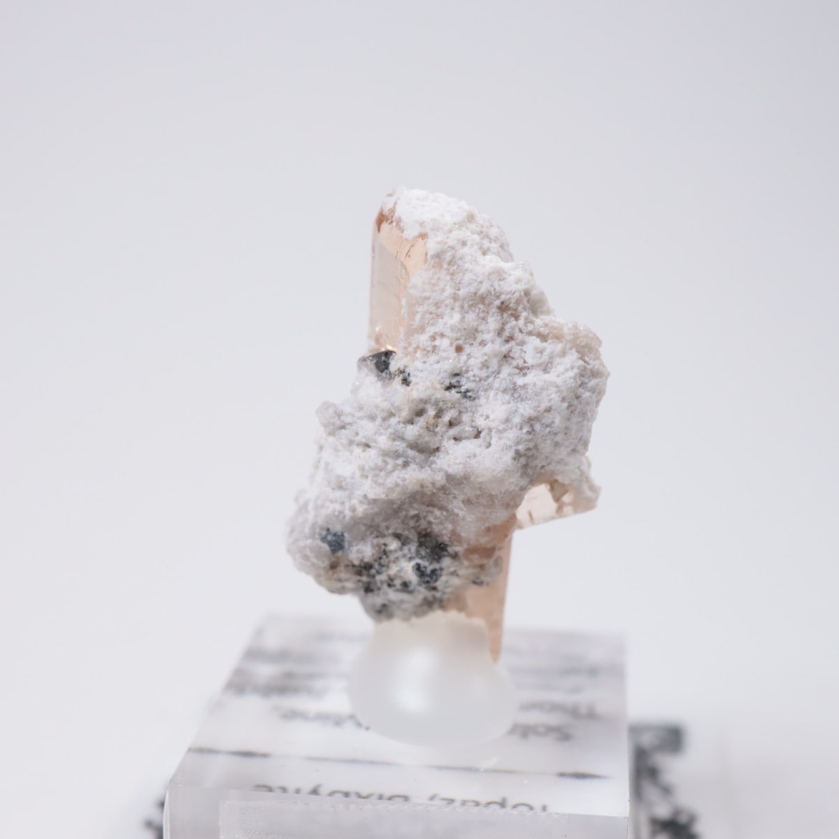 �����顼������ɹۻ� �ȥѡ������ӥ����ӥ�����