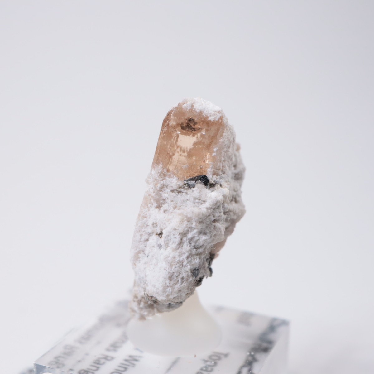 �����顼������ɹۻ� �ȥѡ������ӥ����ӥ�����