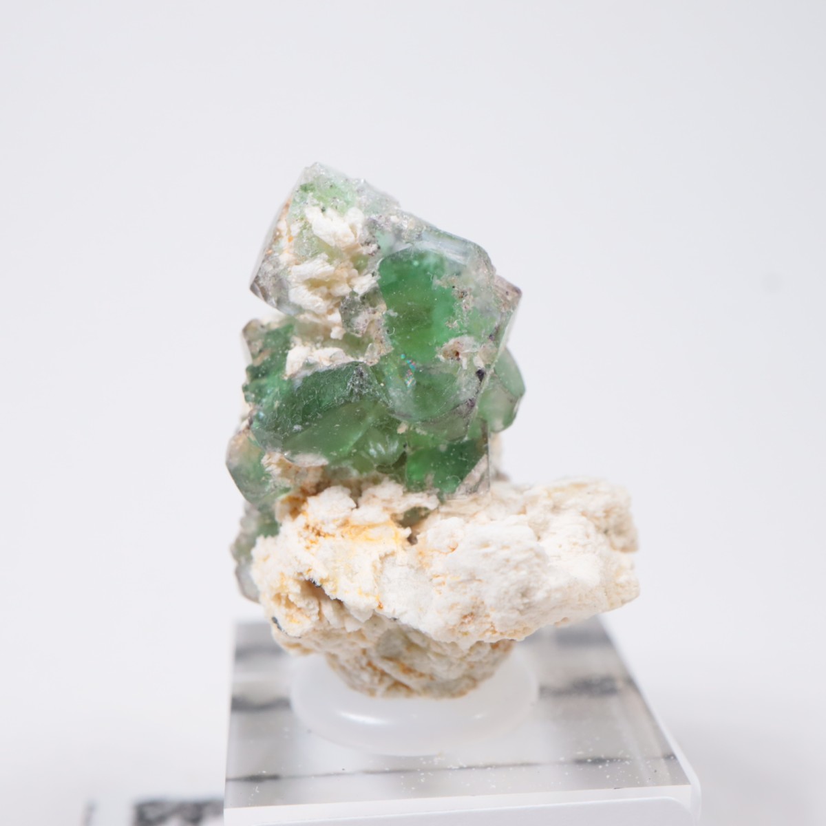 �����󥴹ۻ��� �ե����饤��