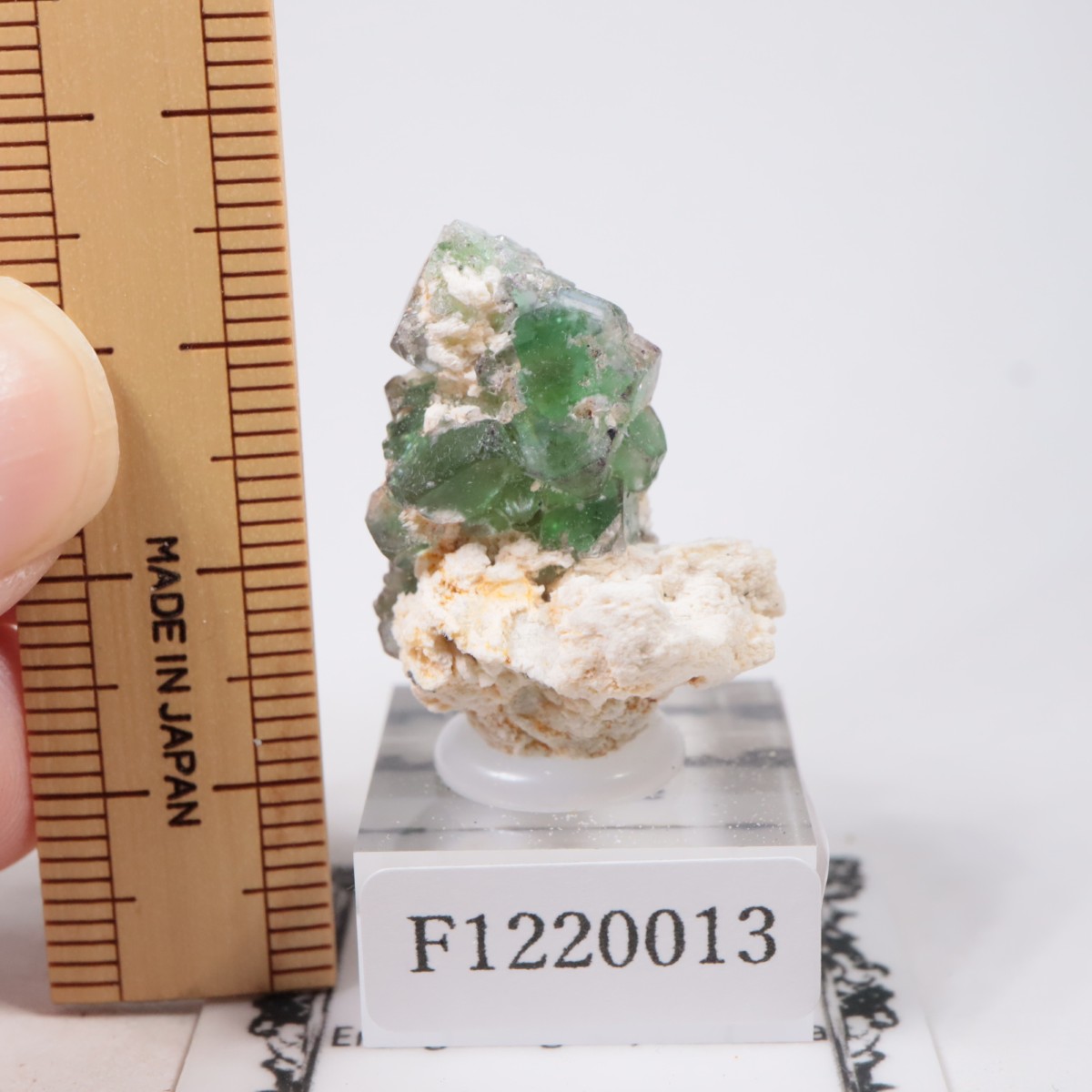 �����󥴹ۻ��� �ե����饤��