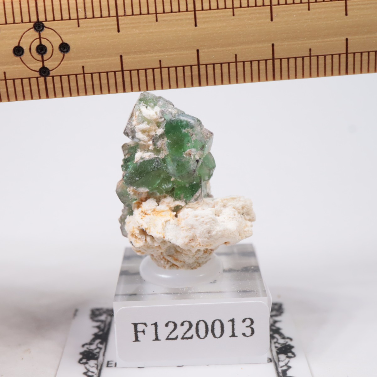 �����󥴹ۻ��� �ե����饤��