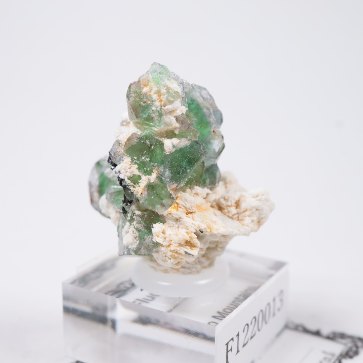 �����󥴹ۻ��� �ե����饤��