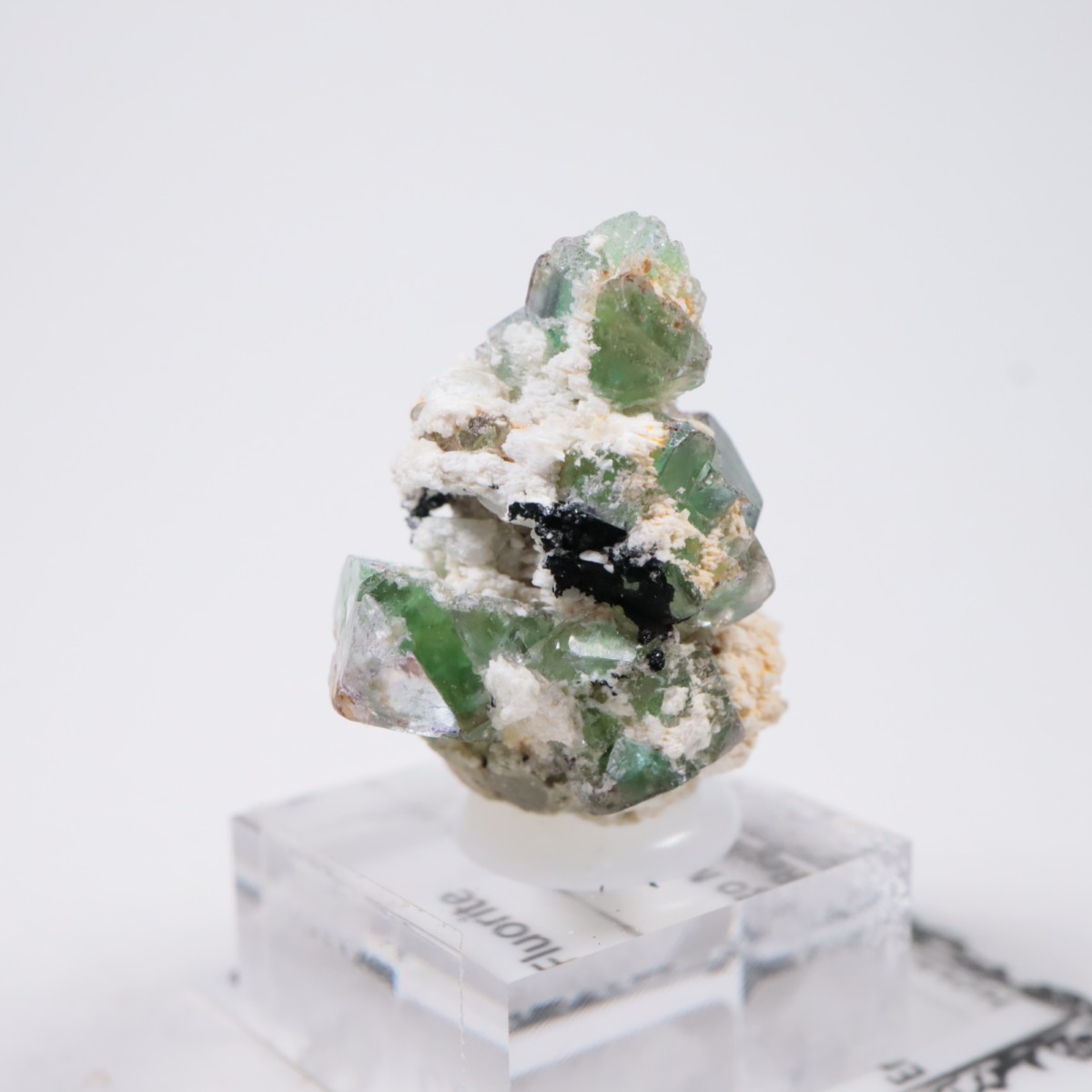 �����󥴹ۻ��� �ե����饤��