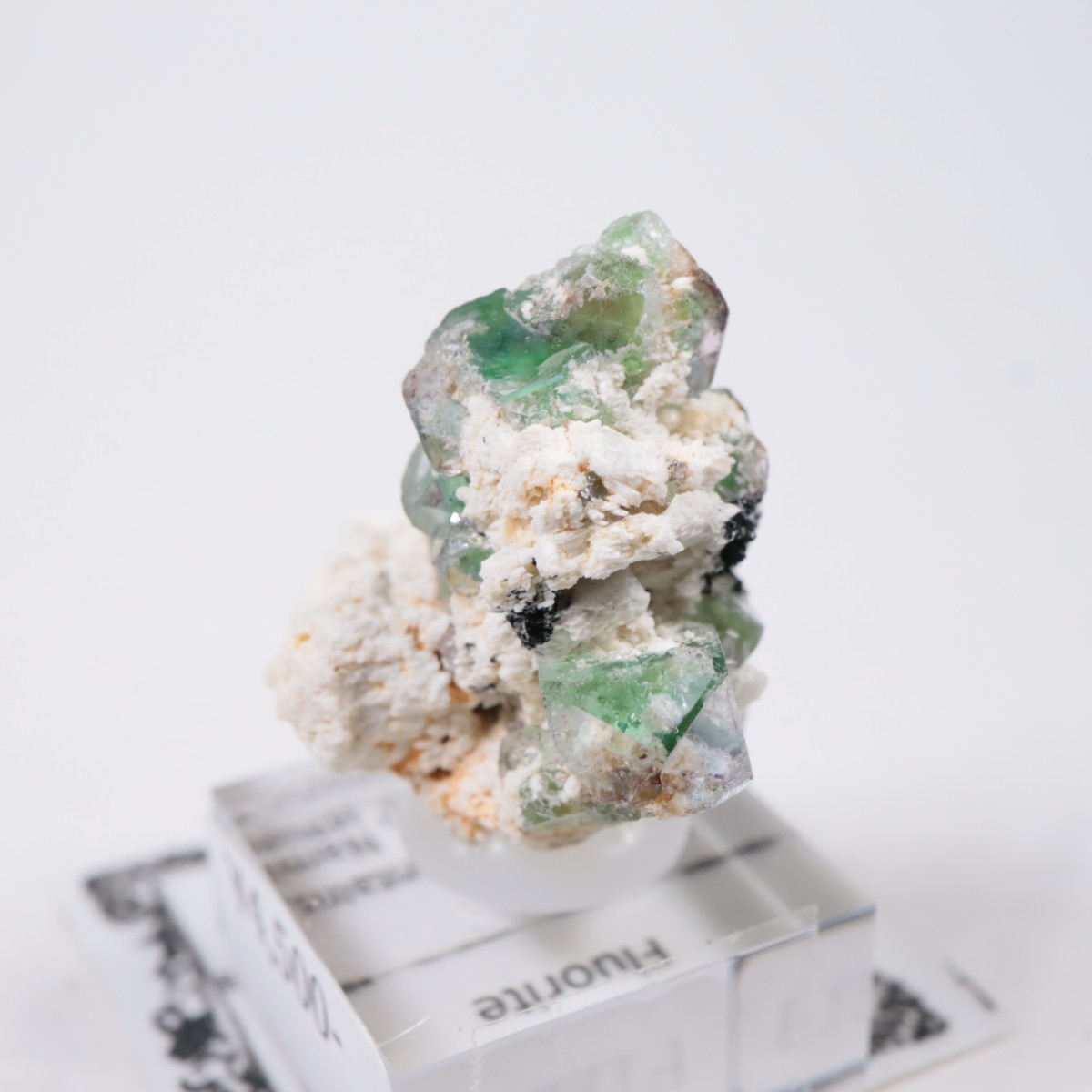 �����󥴹ۻ��� �ե����饤��