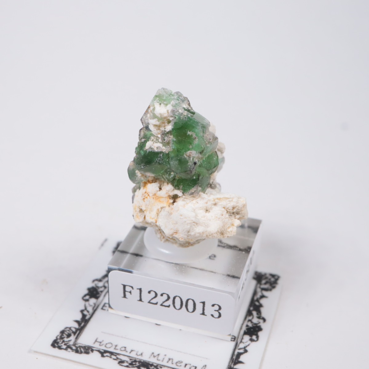 �����󥴹ۻ��� �ե����饤��