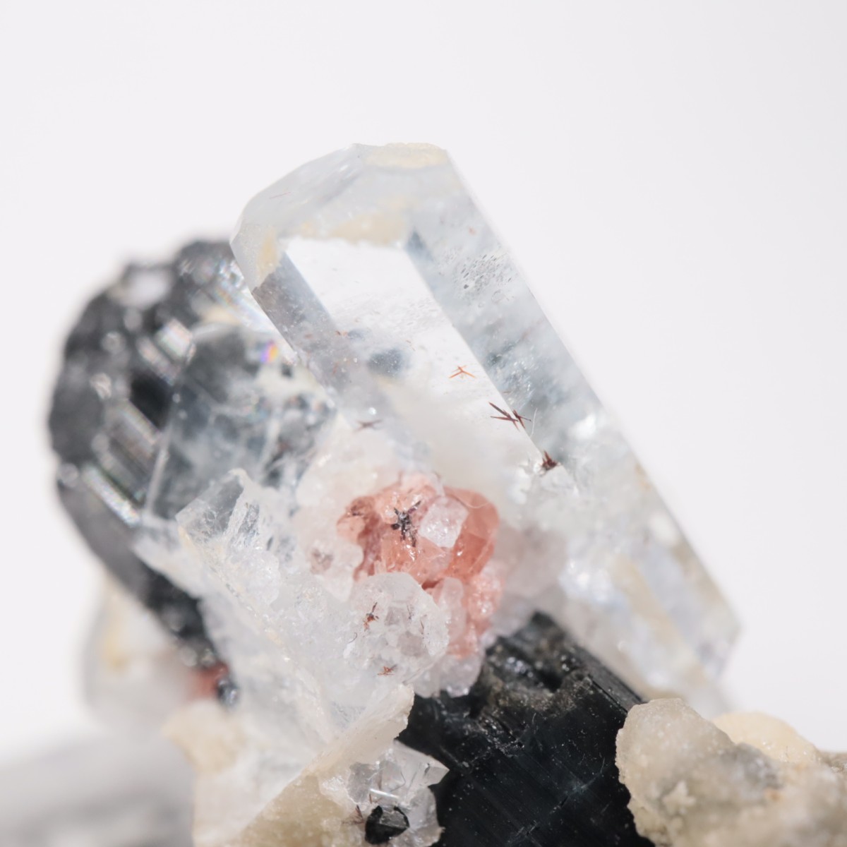 �ѥ������� �������ޥ��