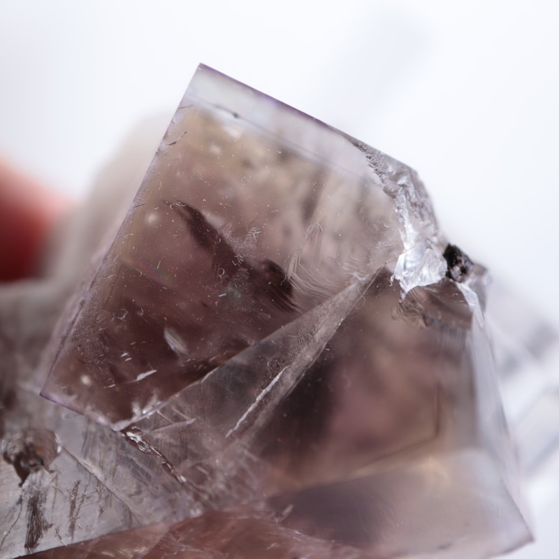 Sherry Twins Pocket産 フローライト（蛍石） | 鉱物標本,ハ行,フロー