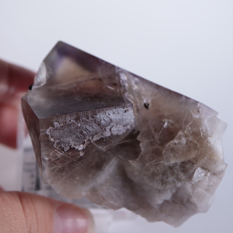 Sherry Twins Pocket産 フローライト（蛍石） | 鉱物標本,ハ行,フロー