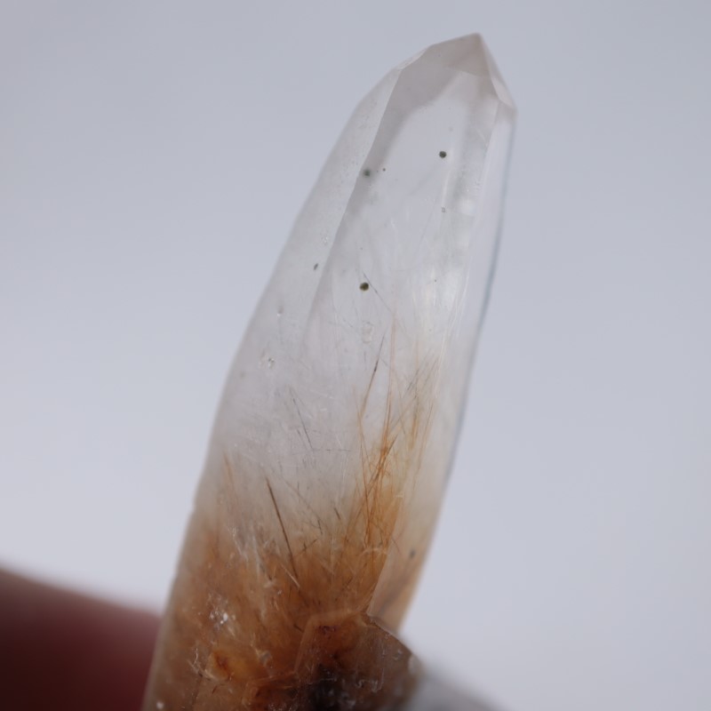 14_000000003650.jpg?1678209904