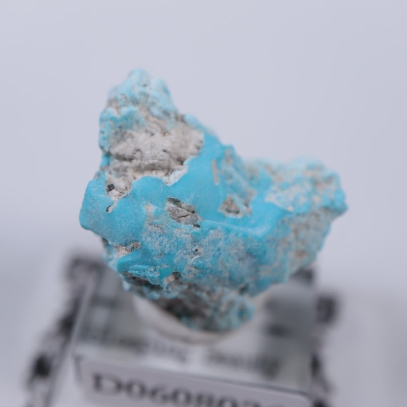 スリーピングビューティー鉱山 ターコイズ | 鉱物標本,タ行,ターコイズ