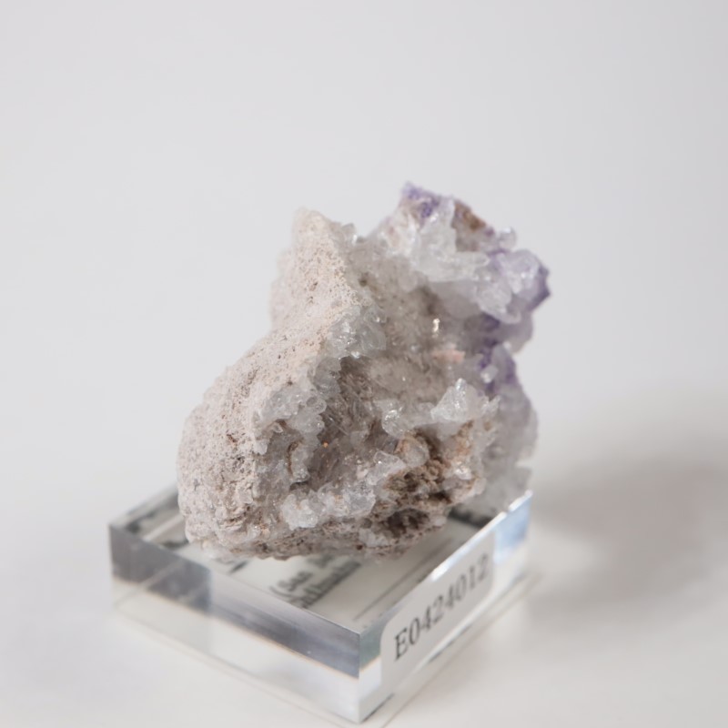 �ᥭ���������ե����饤�ȡ����륻�ɥˡ�