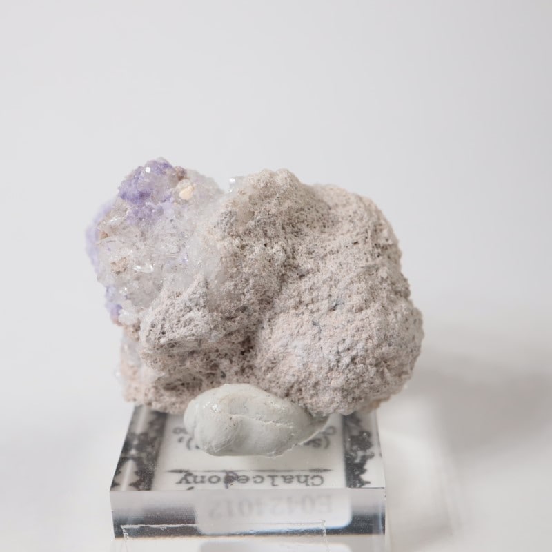 �ᥭ���������ե����饤�ȡ����륻�ɥˡ�