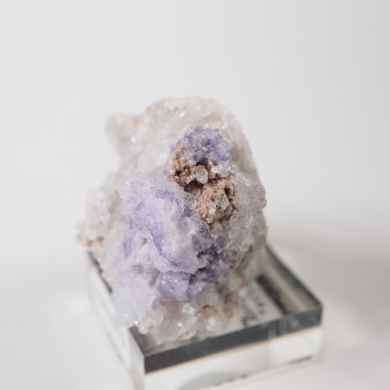 �ᥭ���������ե����饤�ȡ����륻�ɥˡ�