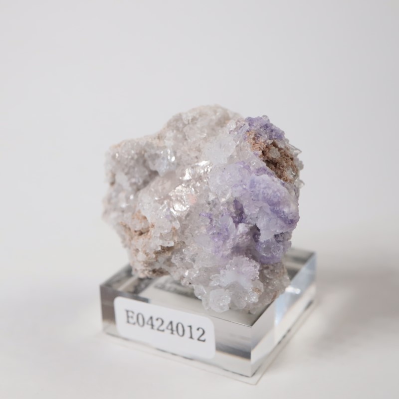 �ᥭ���������ե����饤�ȡ����륻�ɥˡ�