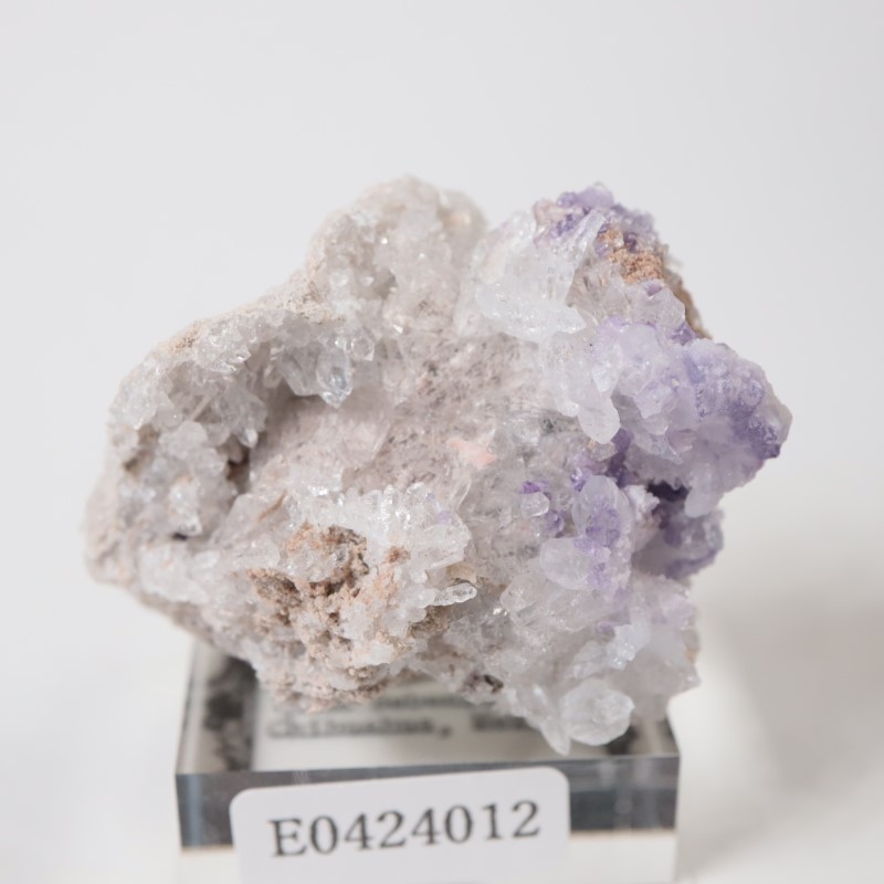 �ᥭ���������ե����饤�ȡ����륻�ɥˡ�